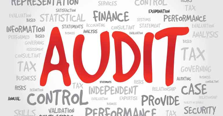 Audit As Per Company Law